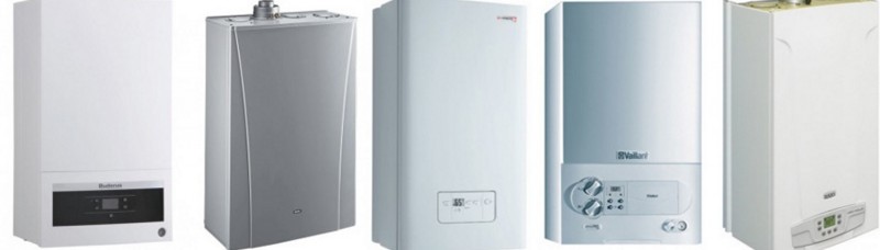 manycotly.jpg manycotly.jpg